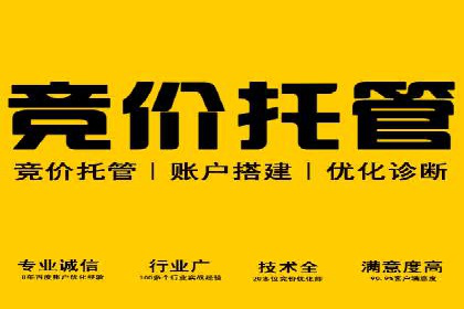 SEM公司案例分析：搜索引擎优化策略与执行